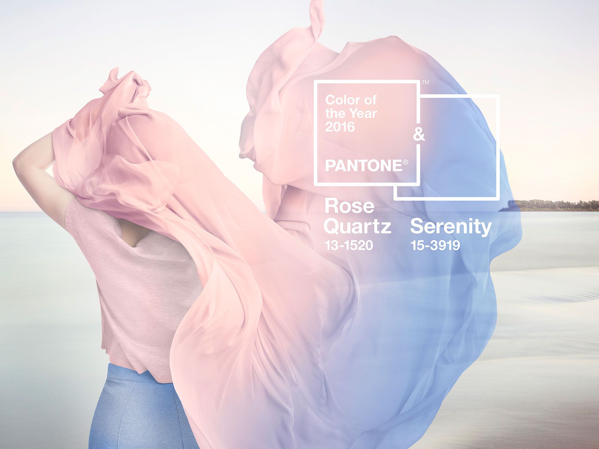 Pantone-2016-Color-del-año-Pinturom-3